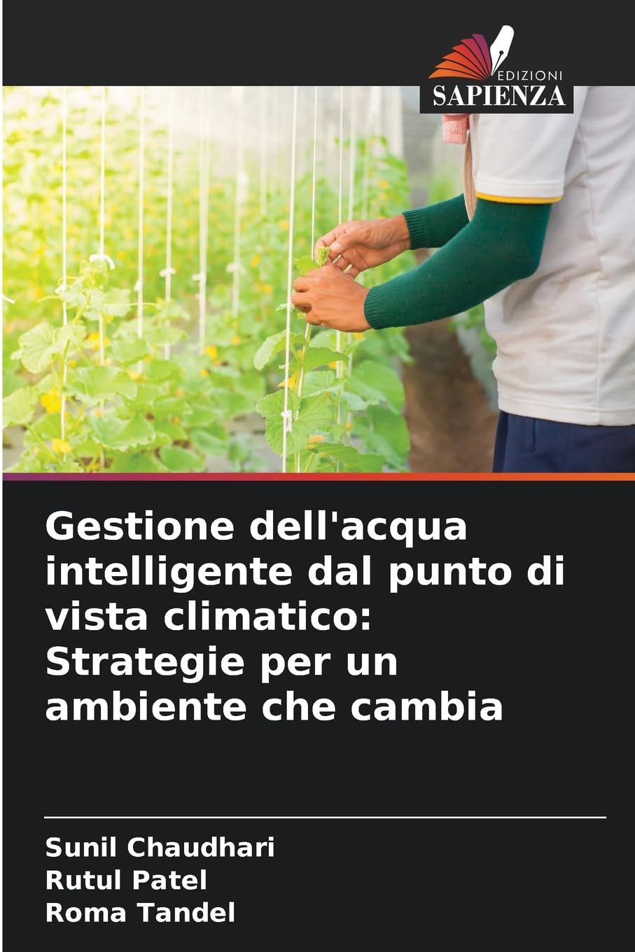 Gestione dell'acqua intelligente dal punto di vista climatico: Strategie per un ambiente che cambia Natural Sciences
