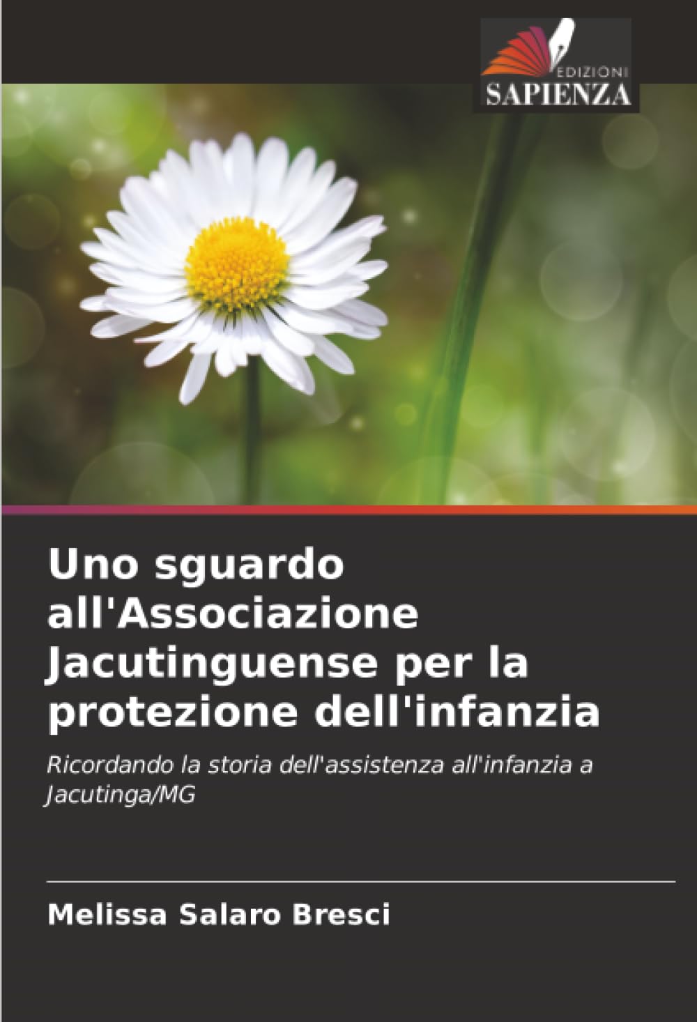 Uno sguardo all'Associazione Jacutinguense per la protezione dell'infanzia Books