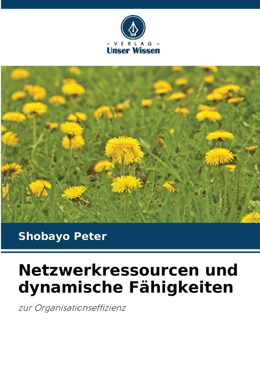 Netzwerkressourcen und dynamische Fähigkeiten Law