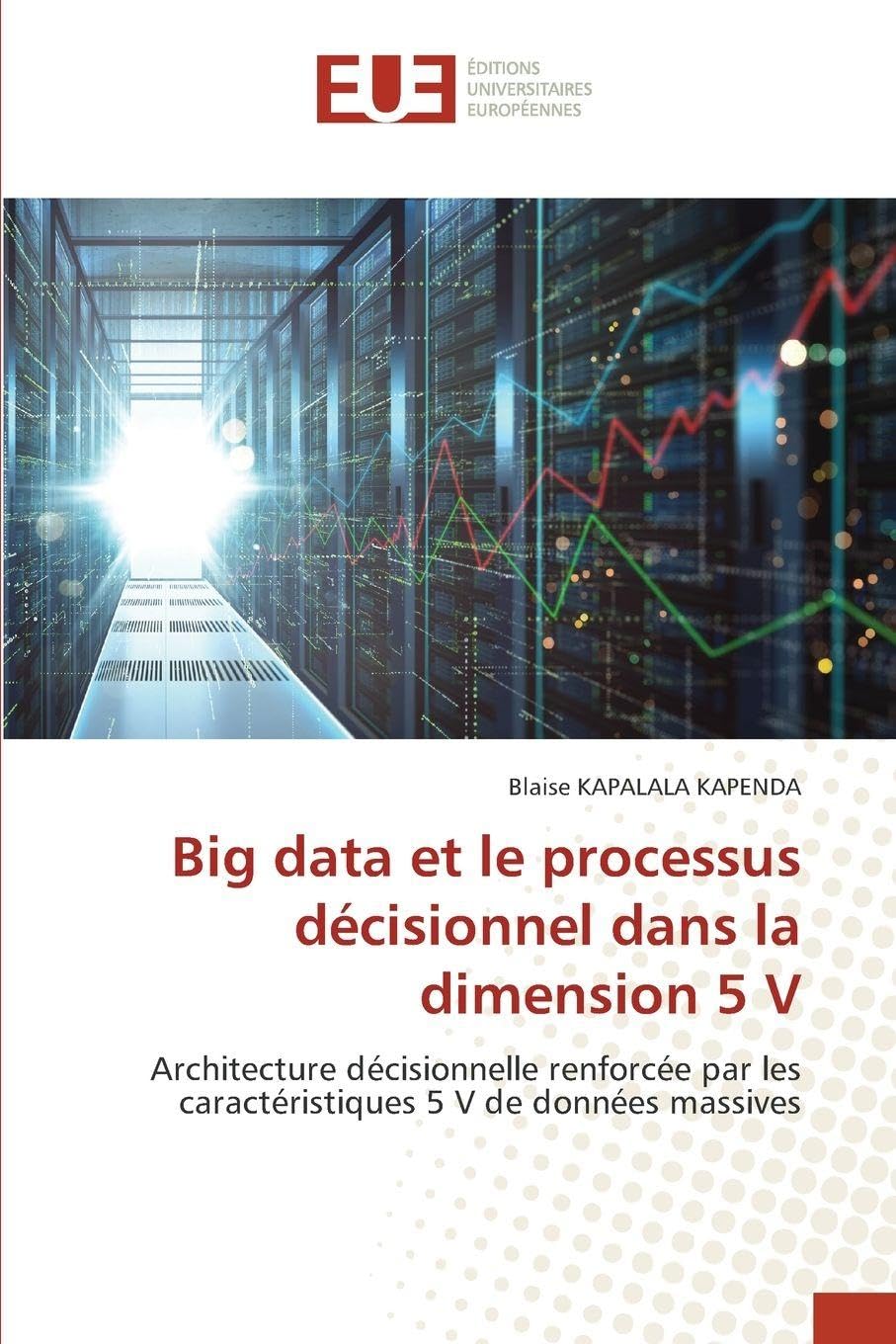Big data et le processus décisionnel dans la dimension 5 V Computer Science