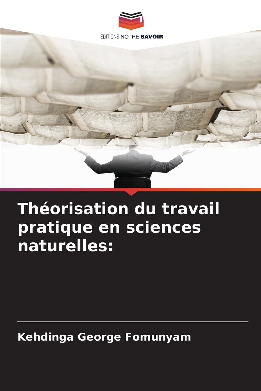 Théorisation du travail pratique en sciences naturelles: Natural Sciences