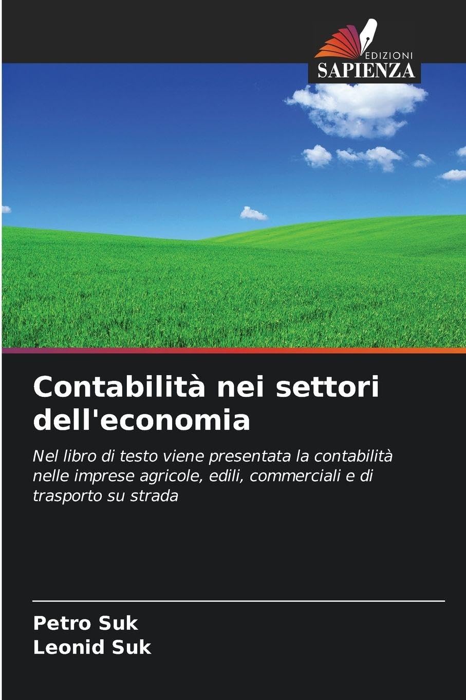 Contabilità nei settori dell'economia Law