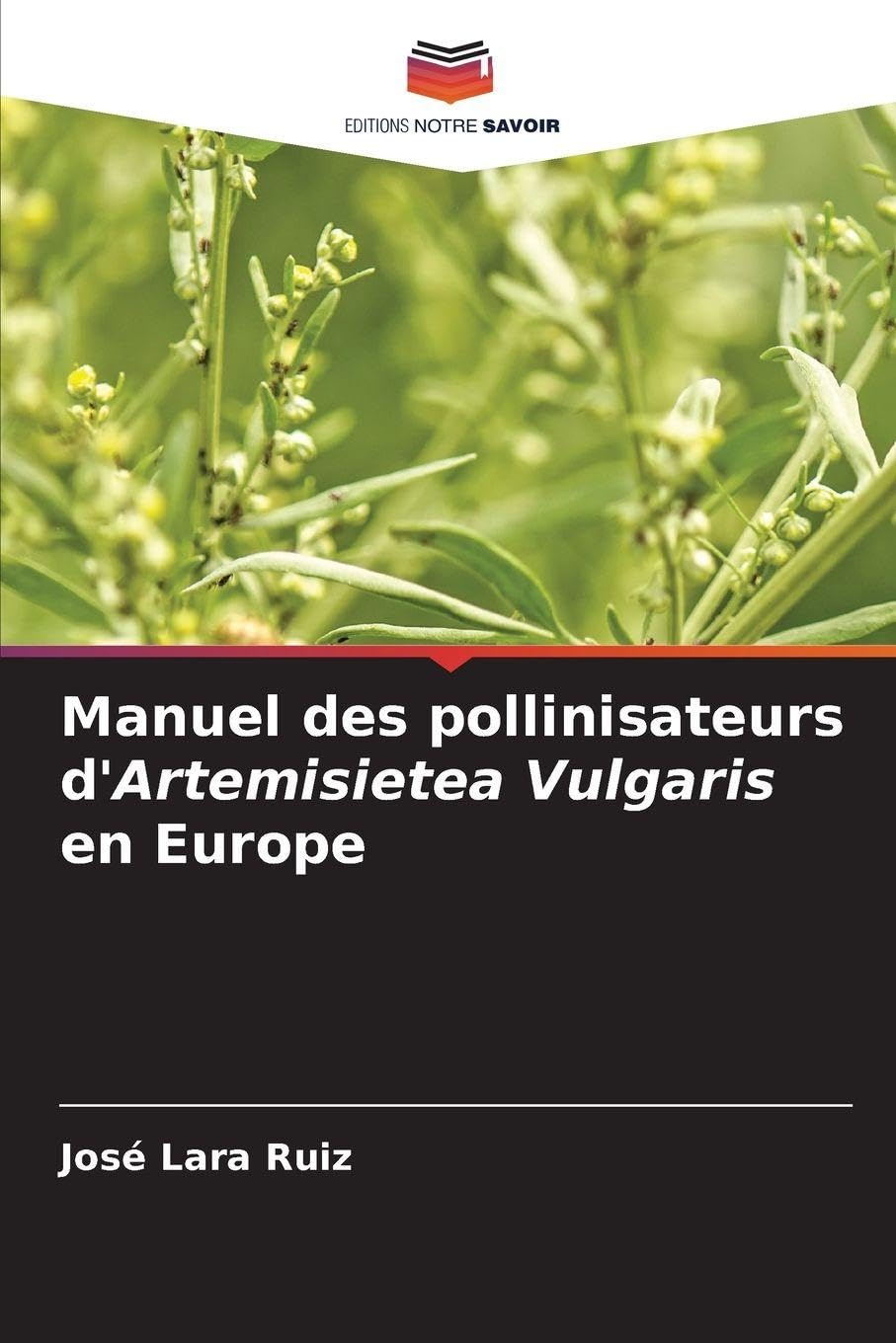 Manuel des pollinisateurs d'Artemisietea Vulgaris en Europe Business & Technology