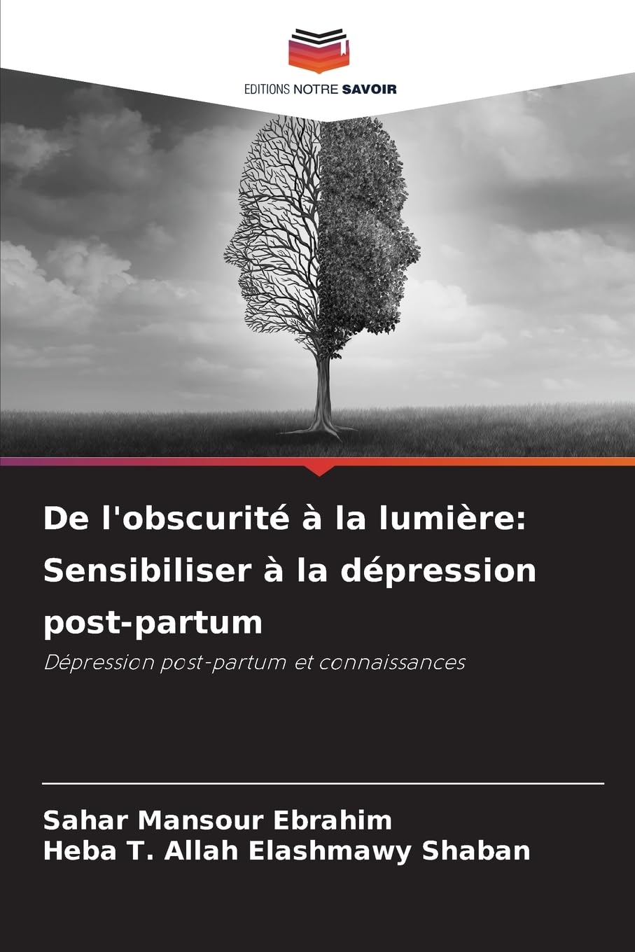 De l'obscurité à la lumière: Sensibiliser à la dépression post-partum Books