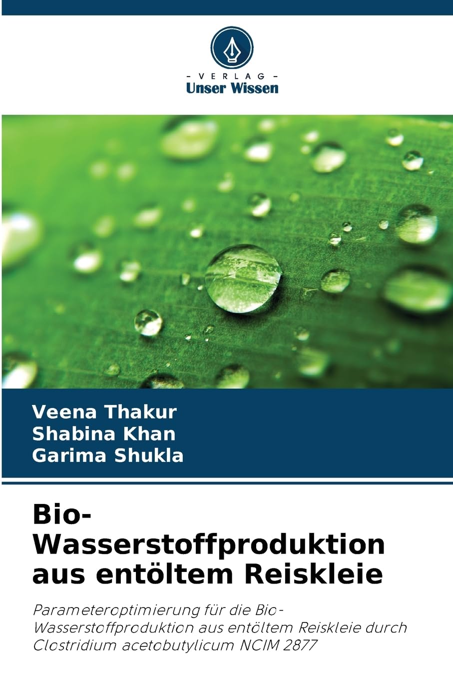 Bio-Wasserstoffproduktion aus entöltem Reiskleie Law