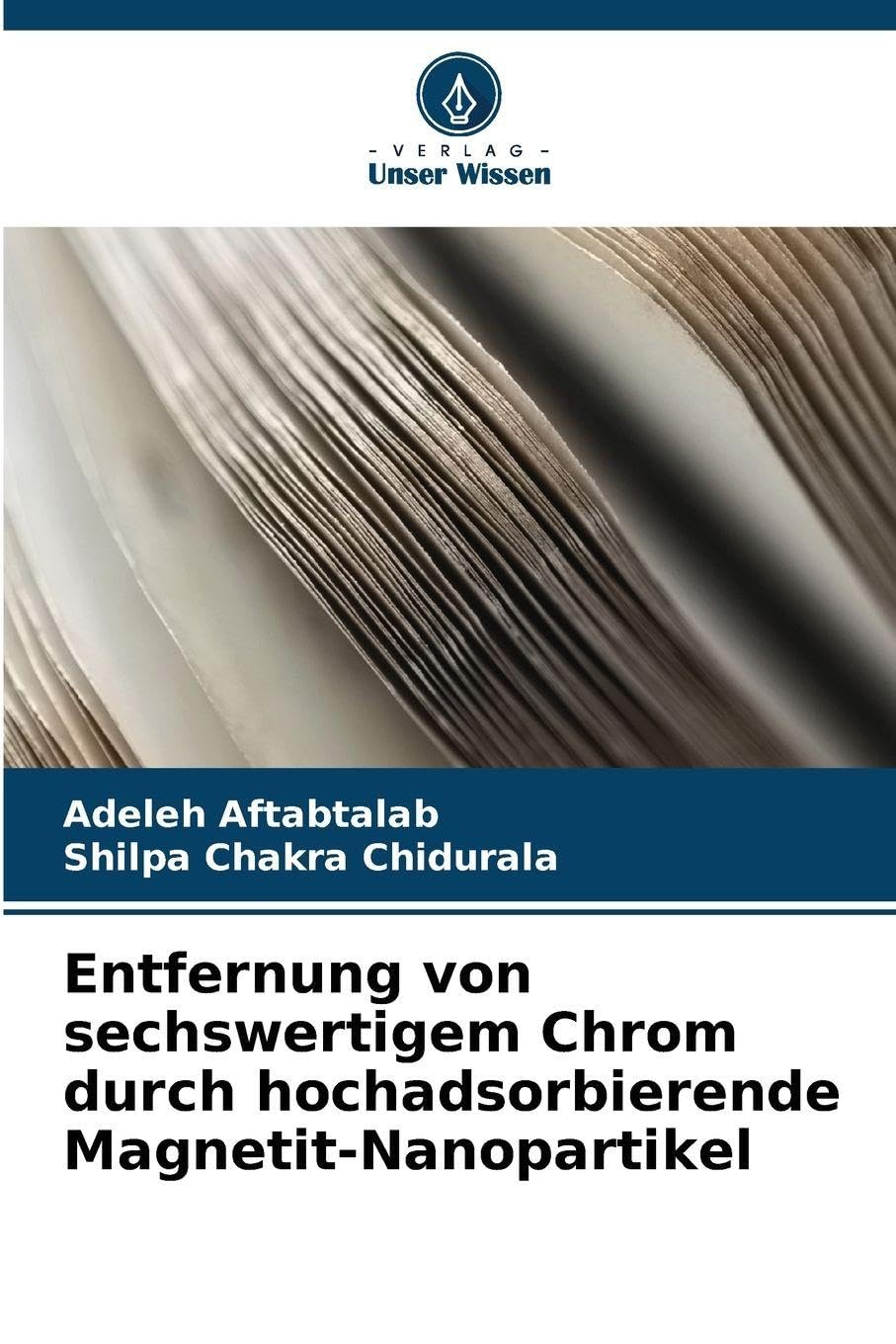 Entfernung von sechswertigem Chrom durch hochadsorbierende Magnetit-Nanopartikel Media & Communication