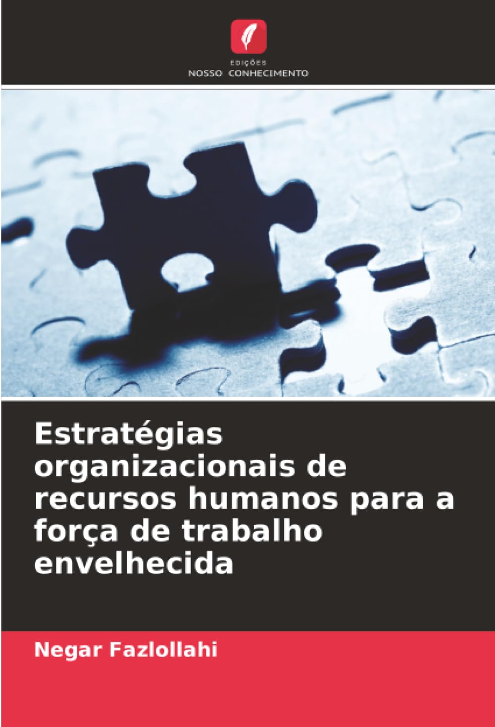 Estratégias organizacionais de recursos humanos para a força de trabalho envelhecida Law