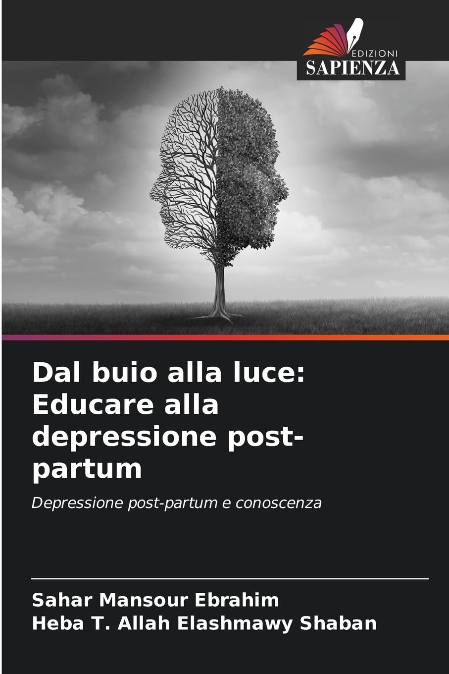 Dal buio alla luce: Educare alla depressione post-partum book