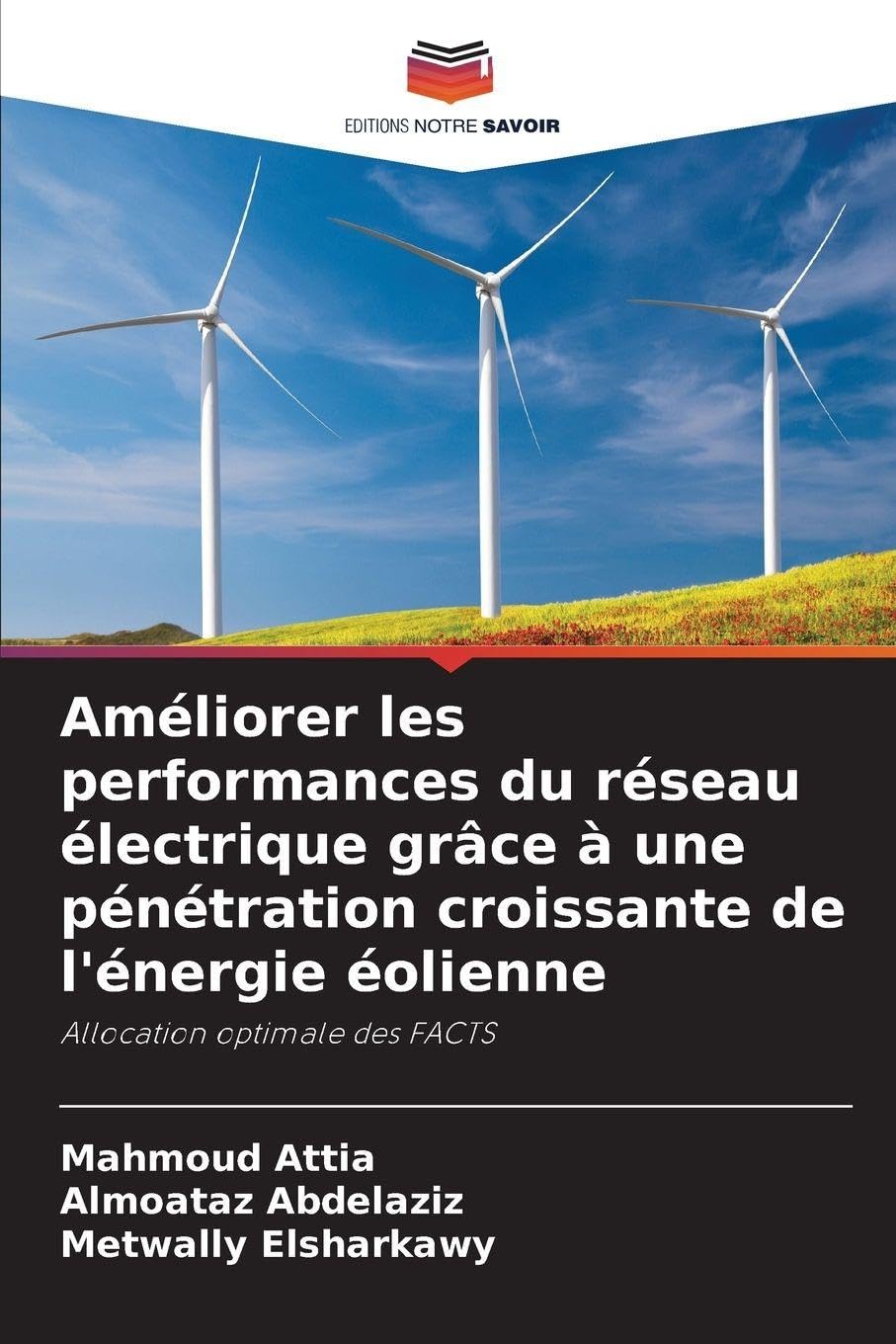 Améliorer les performances du réseau électrique grâce à une pénétration croissante de l'énergie éolienne Professional & Reference Books
