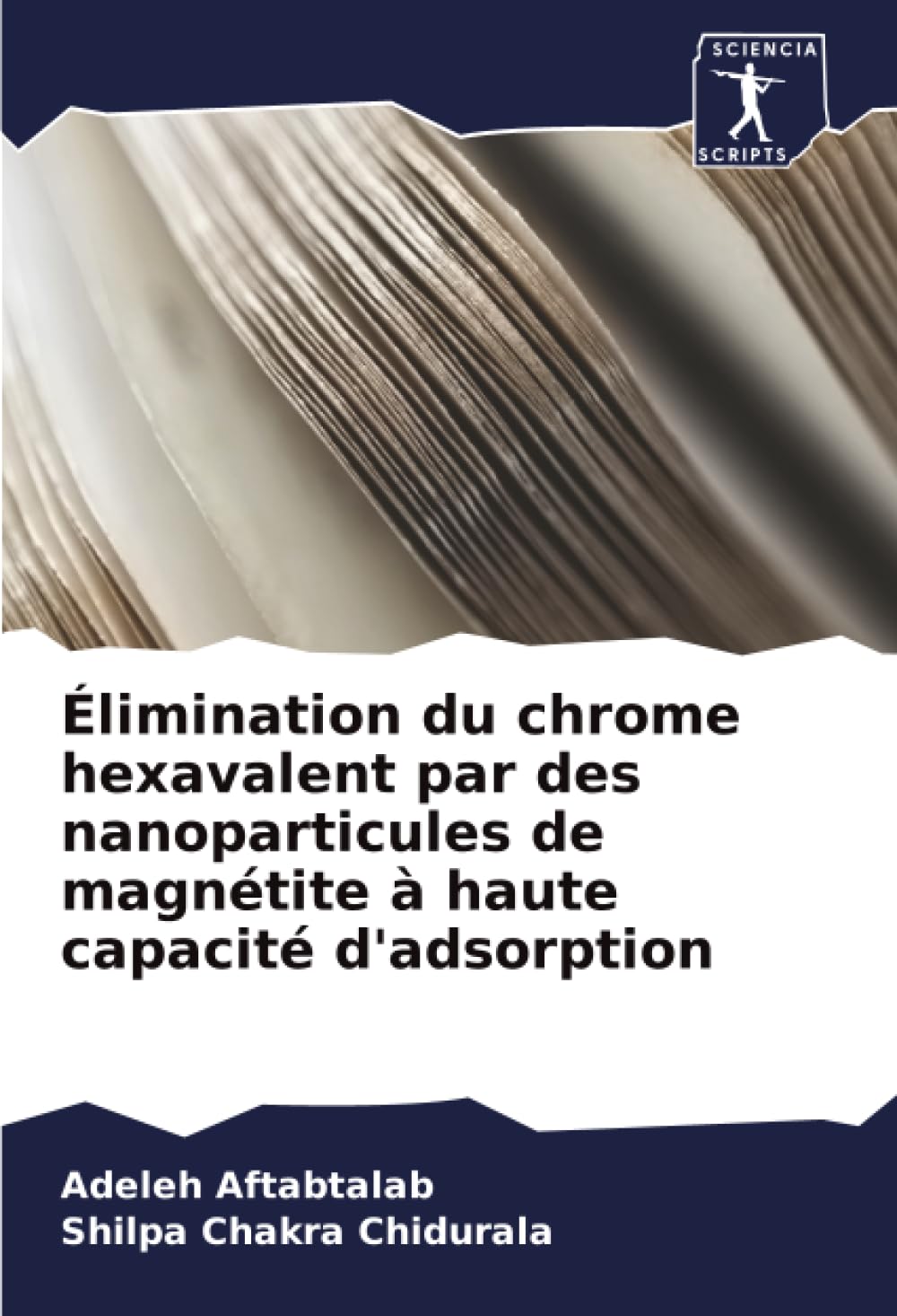 Élimination du chrome hexavalent par des nanoparticules de magnétite à haute capacité d'adsorption book