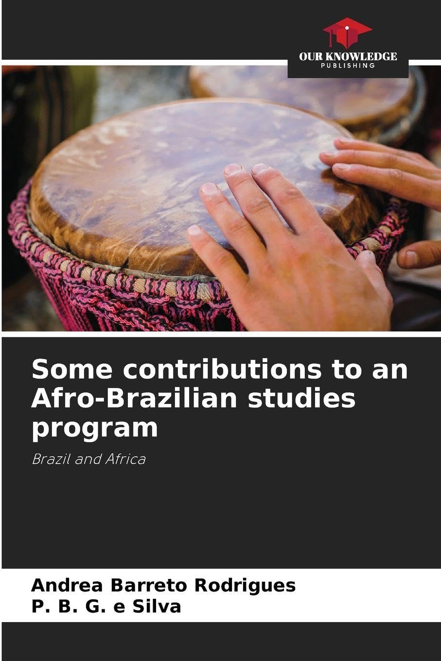 Some contributions to an Afro-Brazilian studies program Law