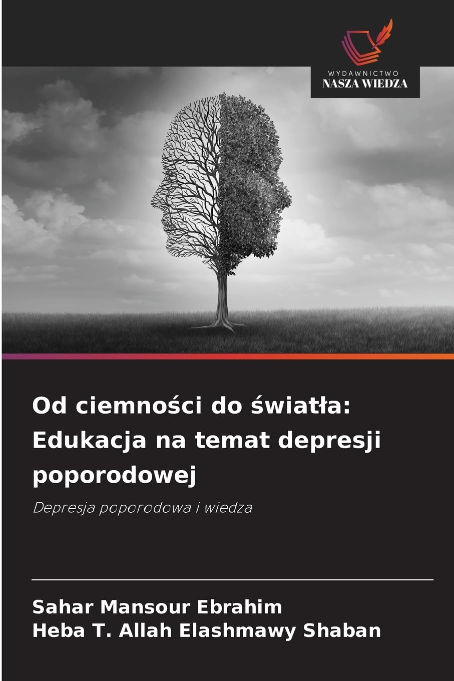 Od ciemno¿ci do ¿wiat¿a: Edukacja na temat depresji poporodowej Medicine