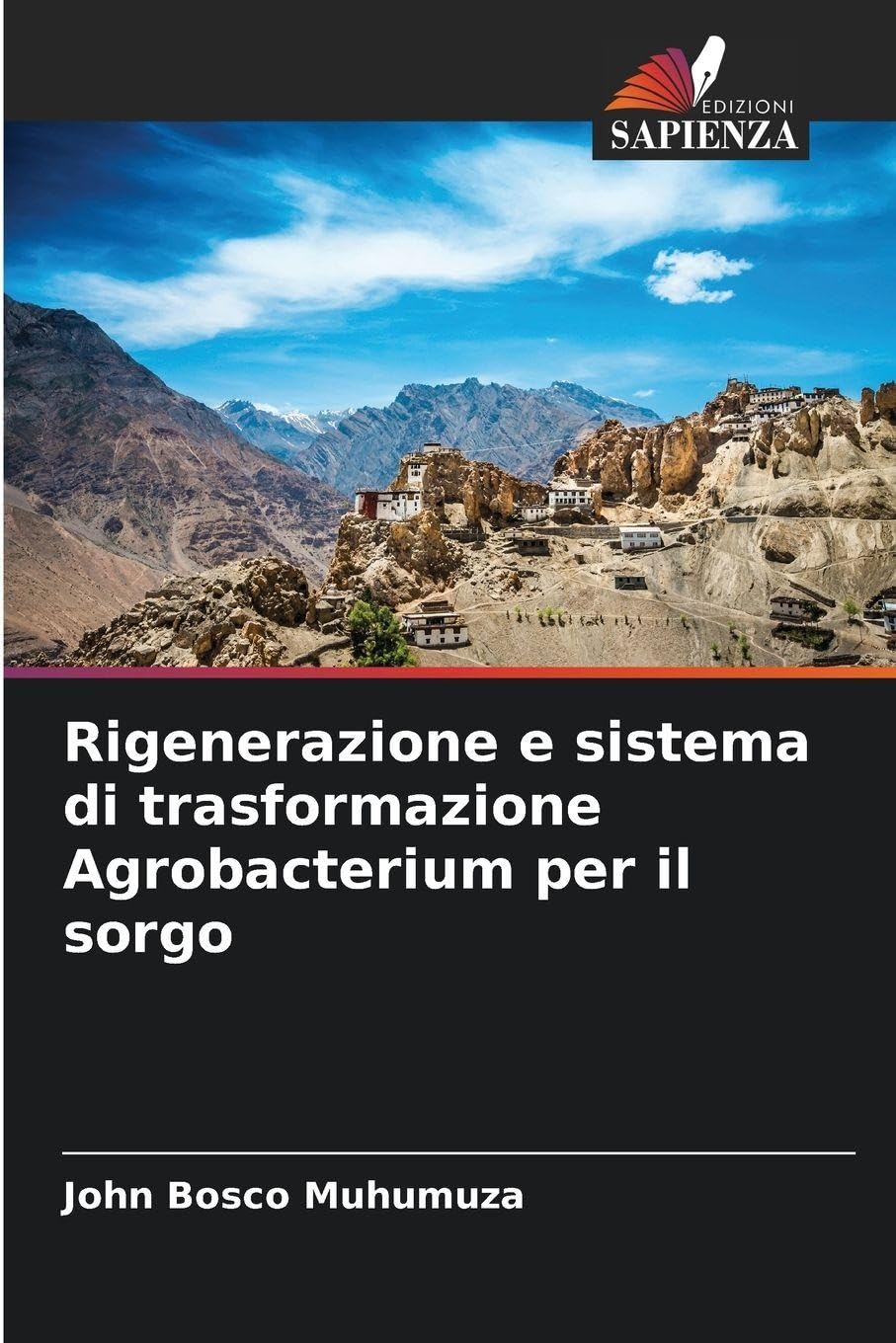 Rigenerazione e sistema di trasformazione Agrobacterium per il sorgo Natural Sciences