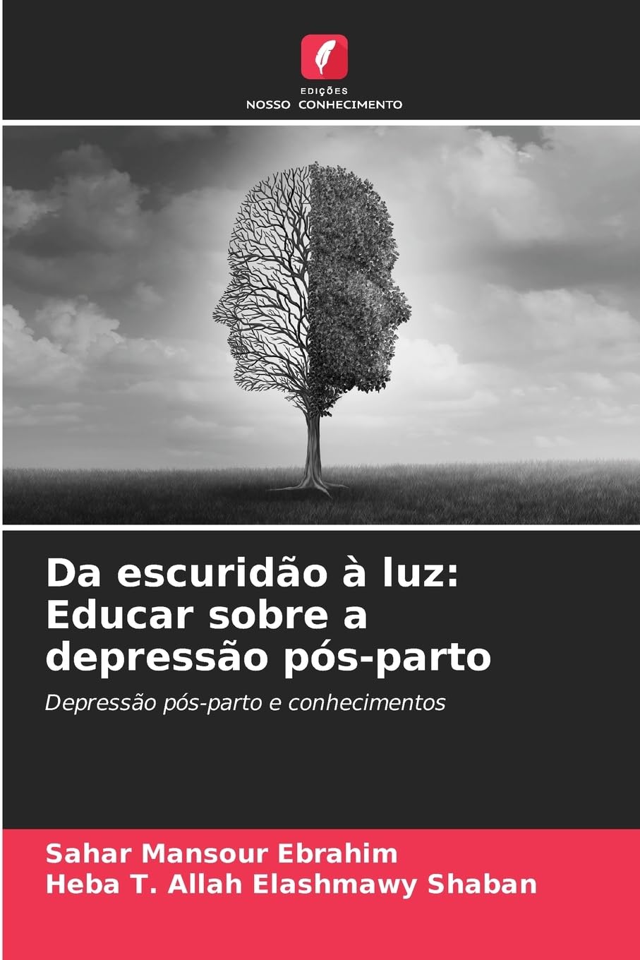 Da escuridão à luz: Educar sobre a depressão pós-parto book