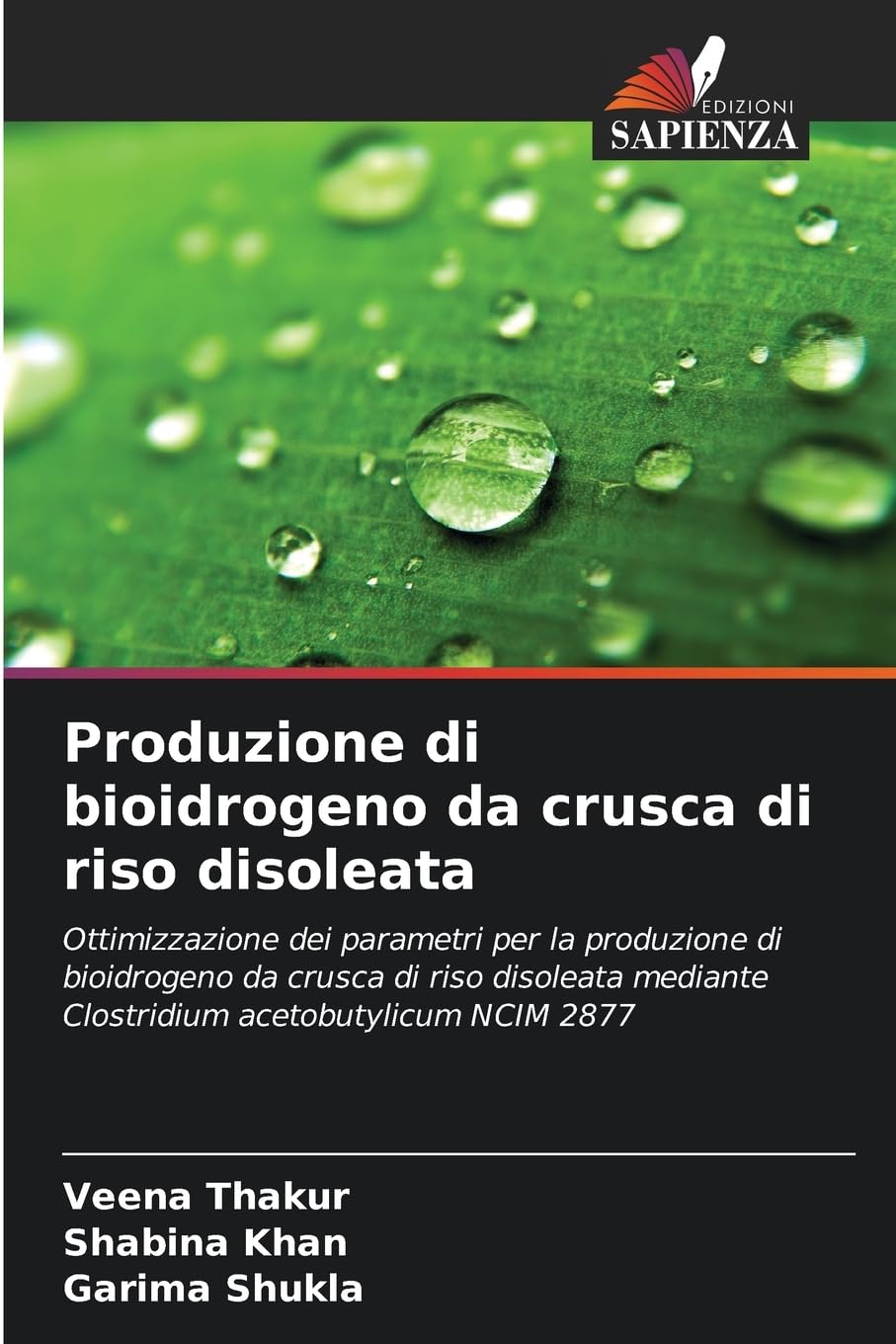 Produzione di bioidrogeno da crusca di riso disoleata Law