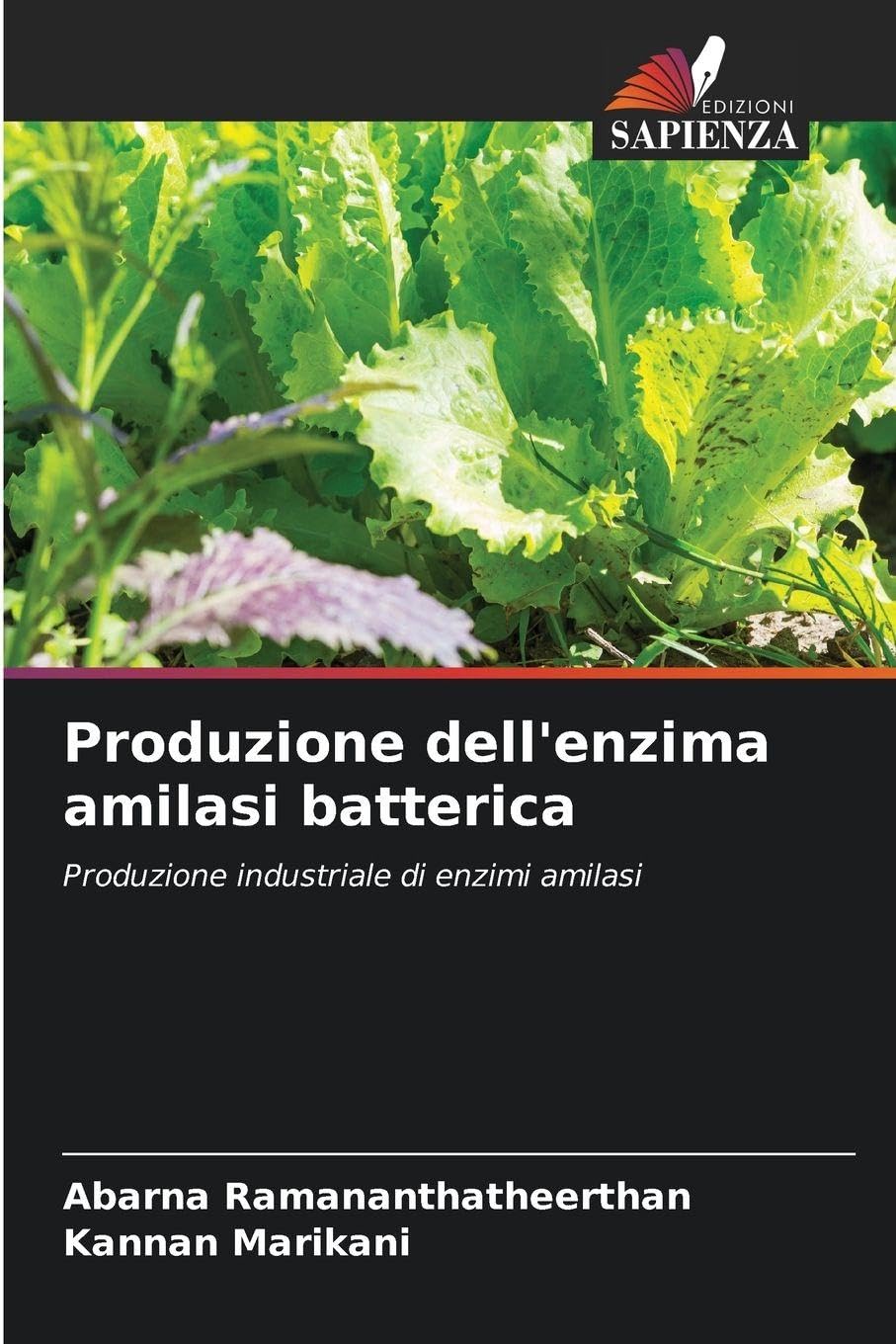 Produzione dell'enzima amilasi batterica Natural Sciences