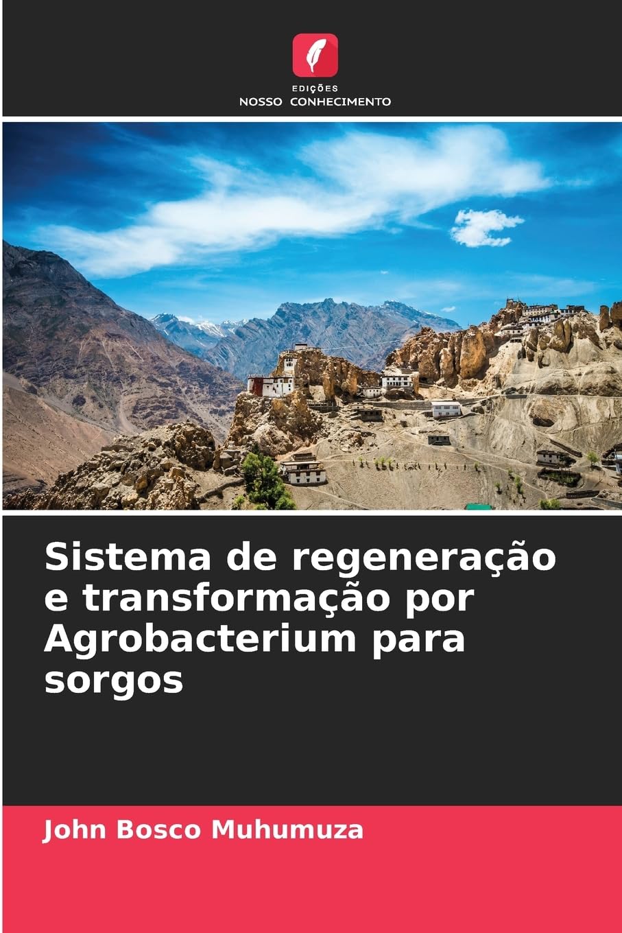 Sistema de regeneração e transformação por Agrobacterium para sorgos Natural Sciences