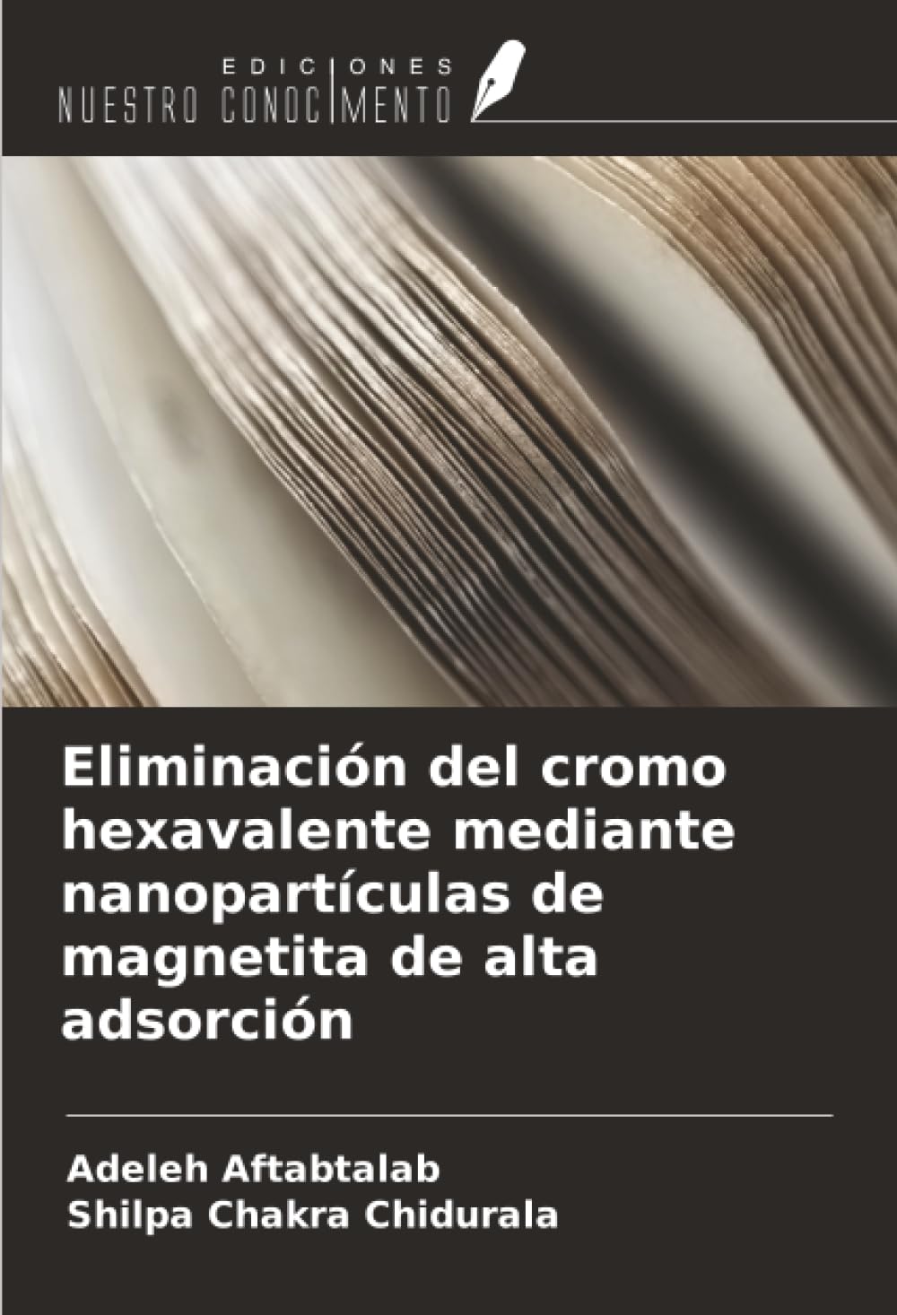 Eliminación del cromo hexavalente mediante nanopartículas de magnetita de alta adsorción Business & Technology