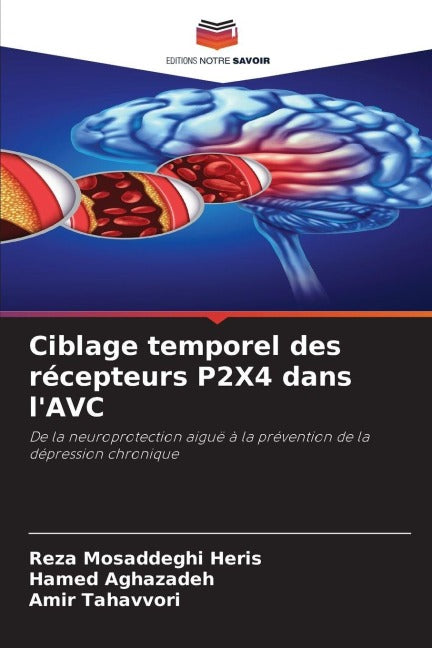 Ciblage temporel des récepteurs P2X4 dans l'AVC Medicine