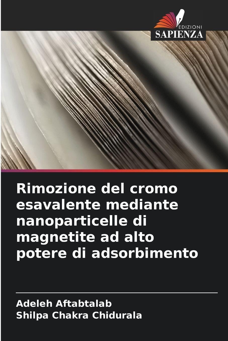 Rimozione del cromo esavalente mediante nanoparticelle di magnetite ad alto potere di adsorbimento Media & Communication