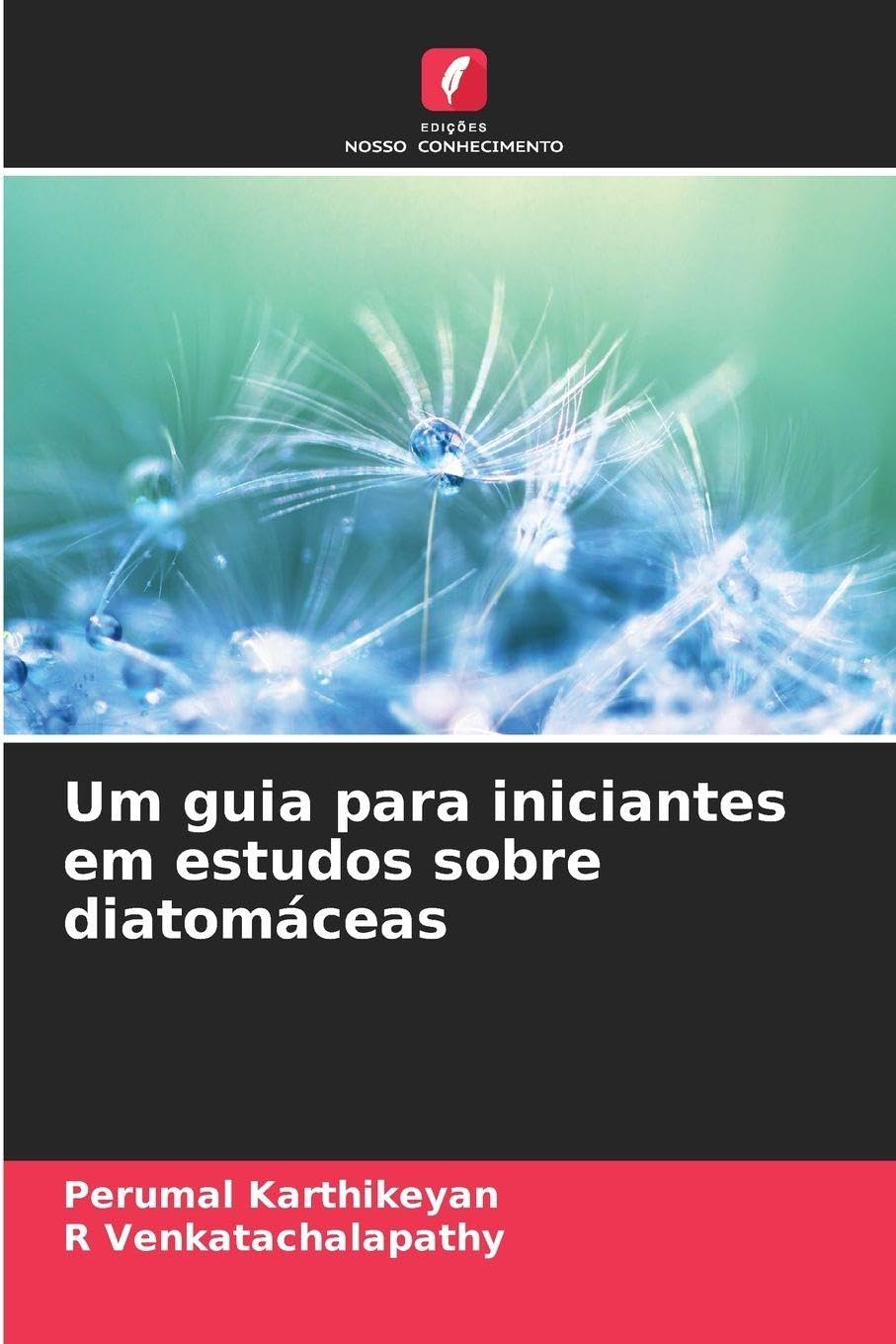 Um guia para iniciantes em estudos sobre diatomáceas Business & Technology