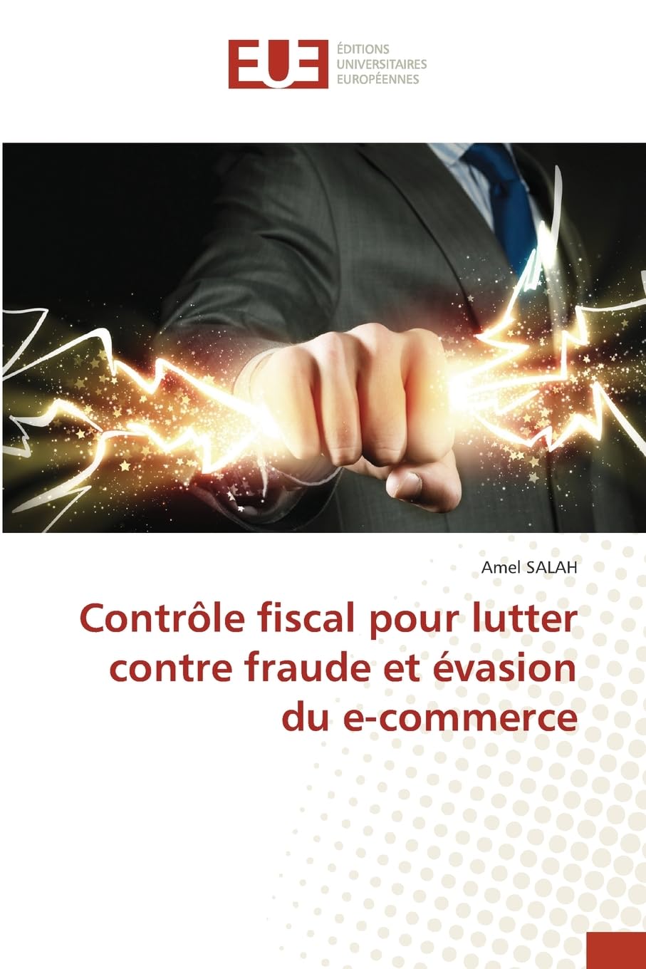 Contrôle fiscal pour lutter contre fraude et évasion du e-commerce Law