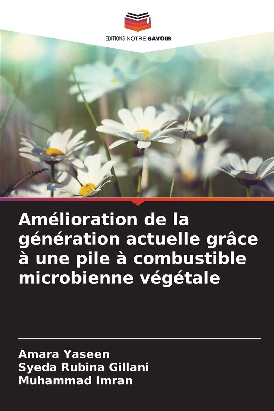 Amélioration de la génération actuelle grâce à une pile à combustible microbienne végétale Natural Sciences