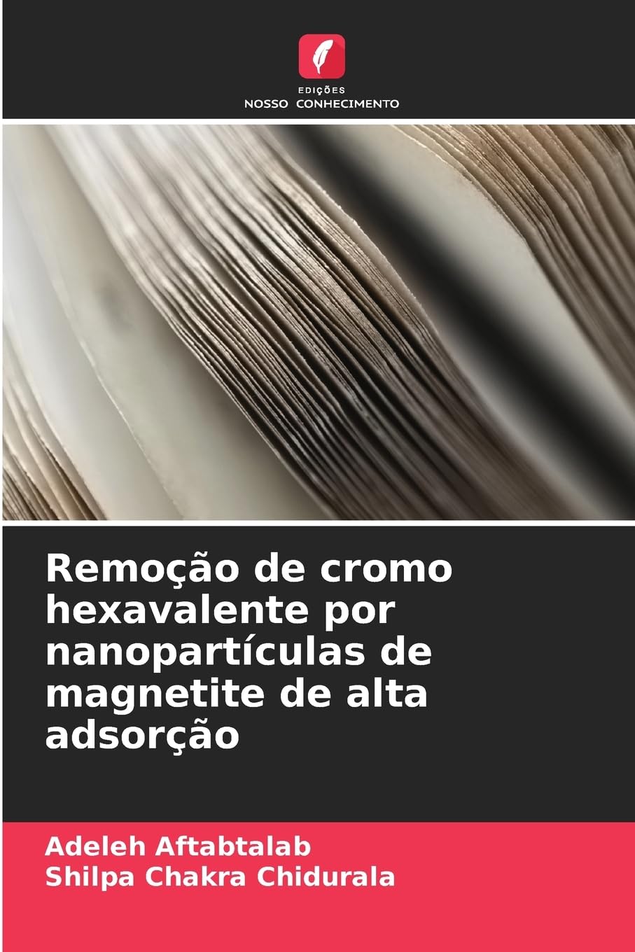 Remoção de cromo hexavalente por nanopartículas de magnetite de alta adsorção book