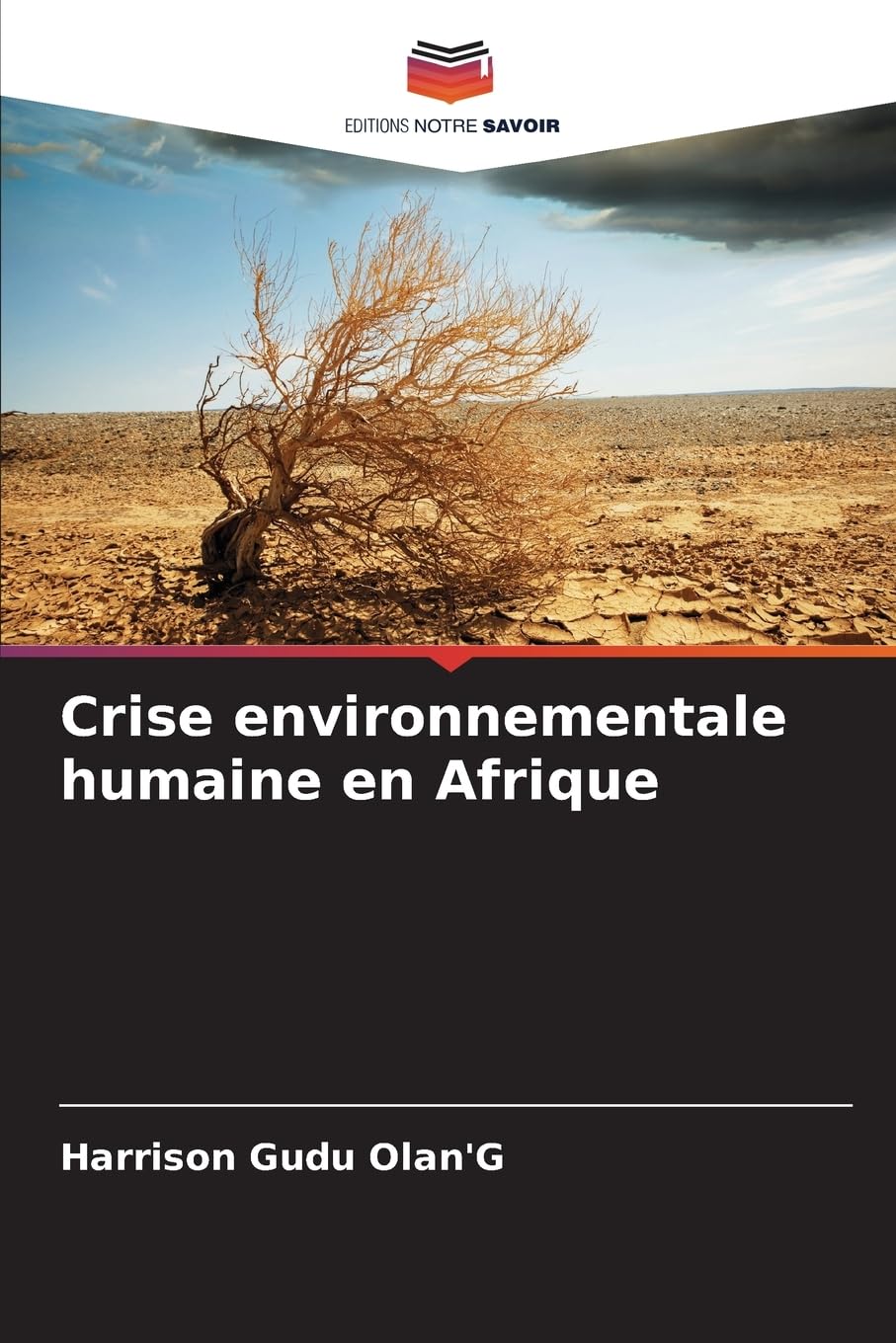 Crise environnementale humaine en Afrique Books