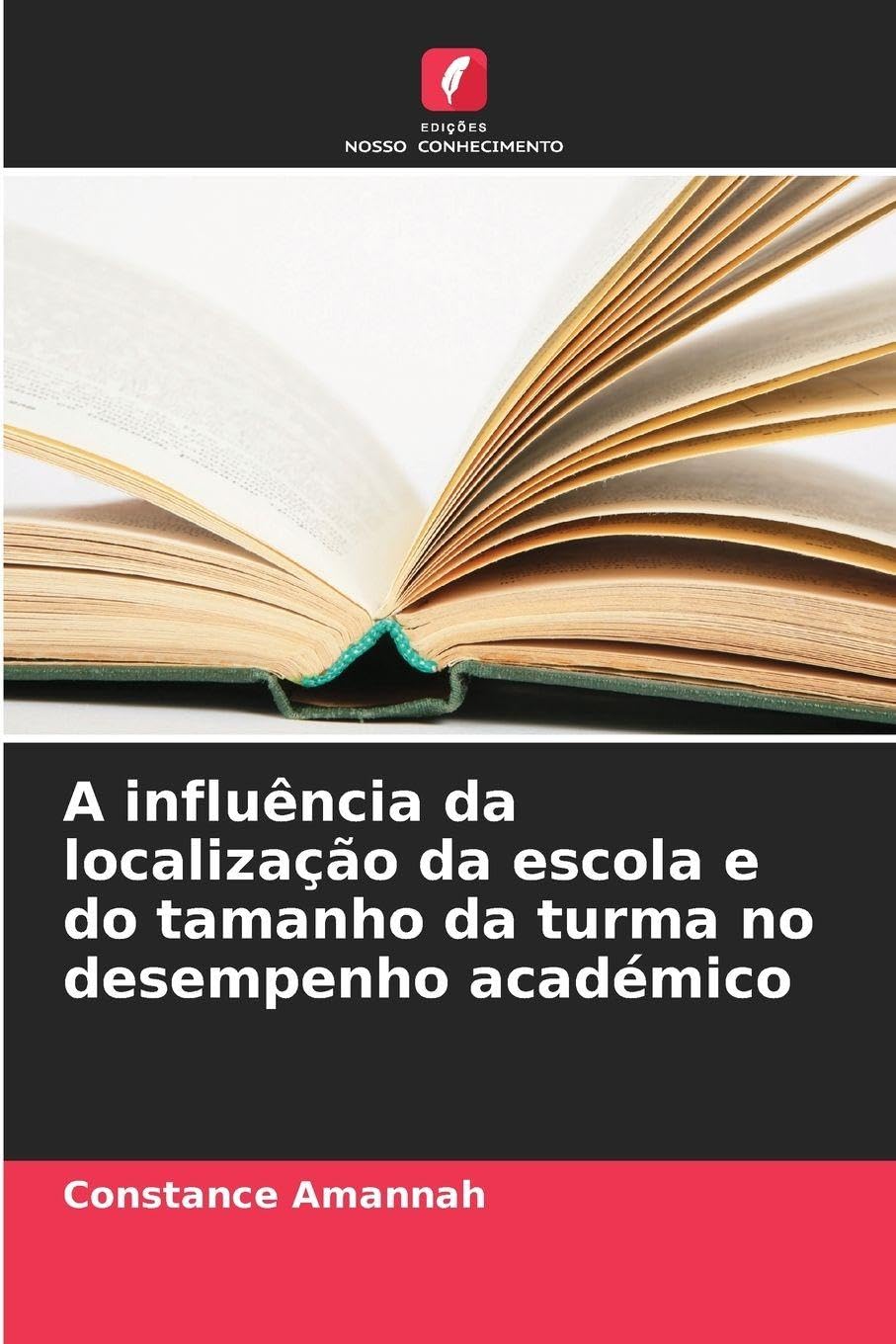 A influência da localização da escola e do tamanho da turma no desempenho académico Law