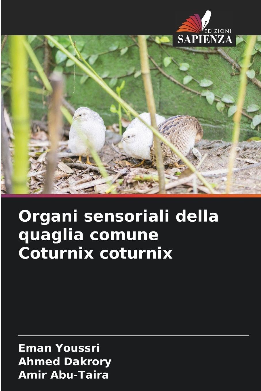 Organi sensoriali della quaglia comune Coturnix coturnix Natural Sciences