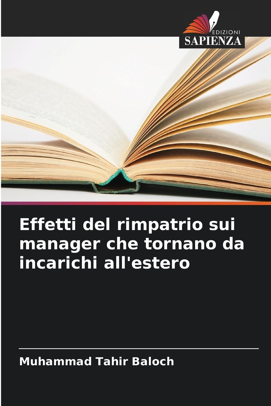 Effetti del rimpatrio sui manager che tornano da incarichi all'estero Law