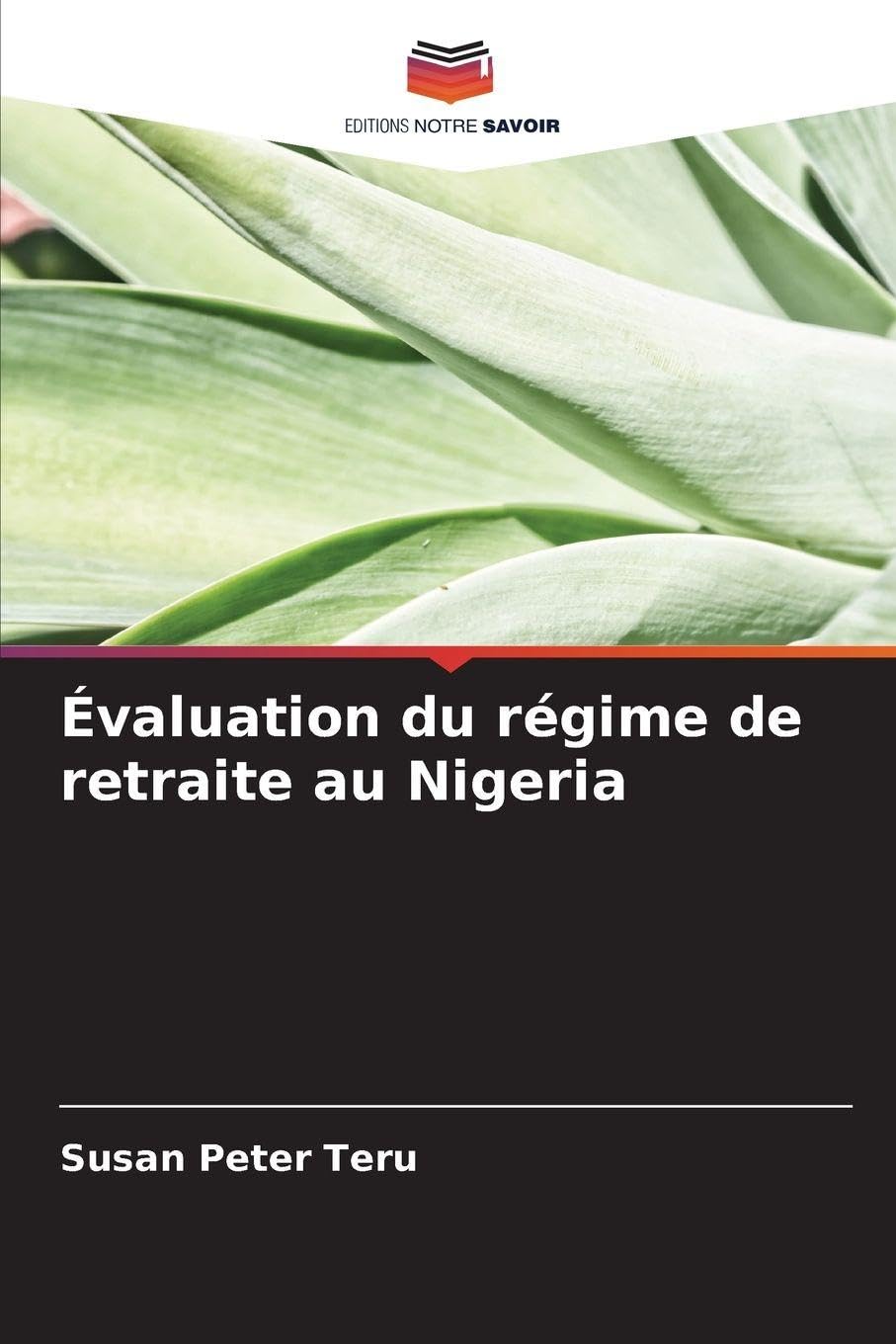 Évaluation du régime de retraite au Nigeria Business, Finance & Career