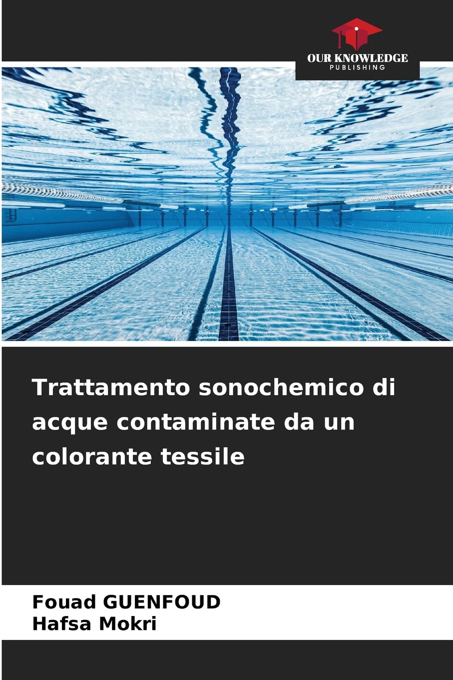 Trattamento sonochemico di acque contaminate da un colorante tessile Books