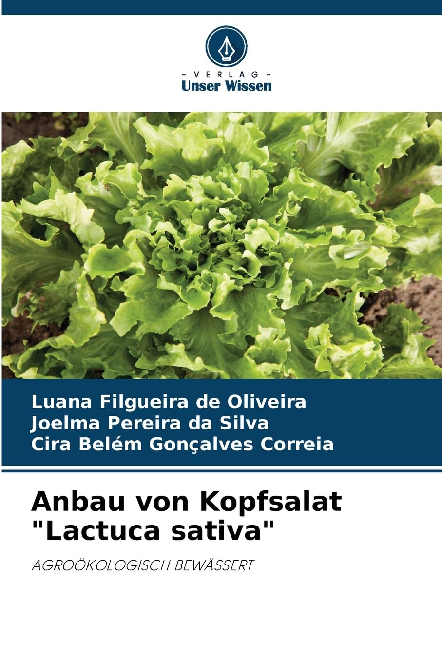 Anbau von Kopfsalat "Lactuca sativa" Law