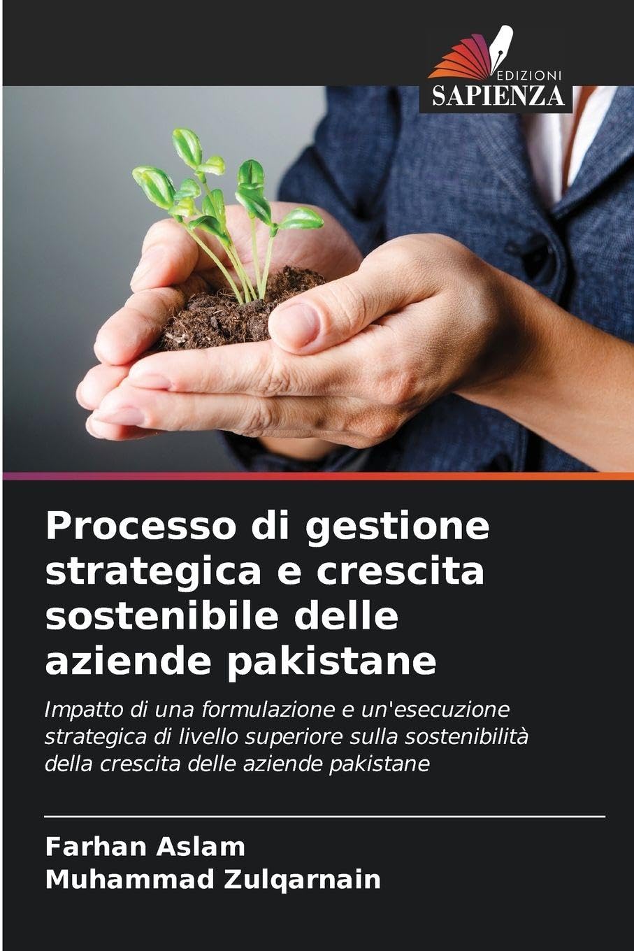 Processo di gestione strategica e crescita sostenibile delle aziende pakistane Law