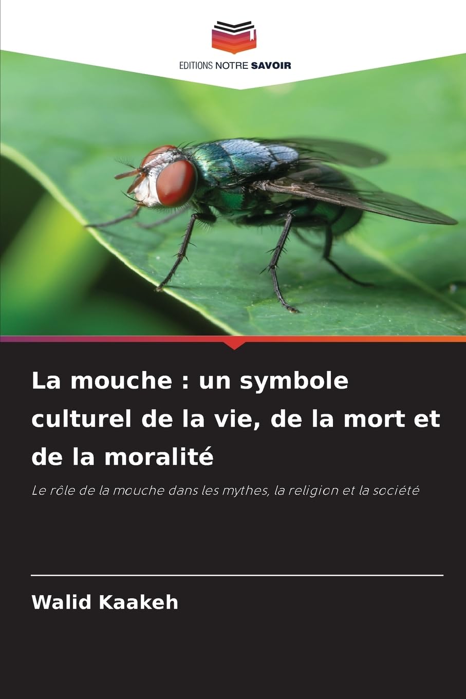 La mouche : un symbole culturel de la vie, de la mort et de la moralité Law