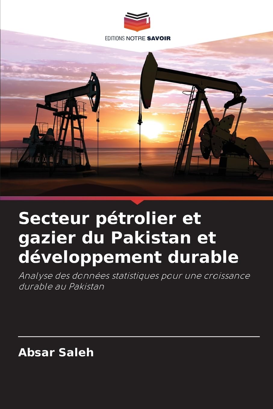 Secteur pétrolier et gazier du Pakistan et développement durable Law