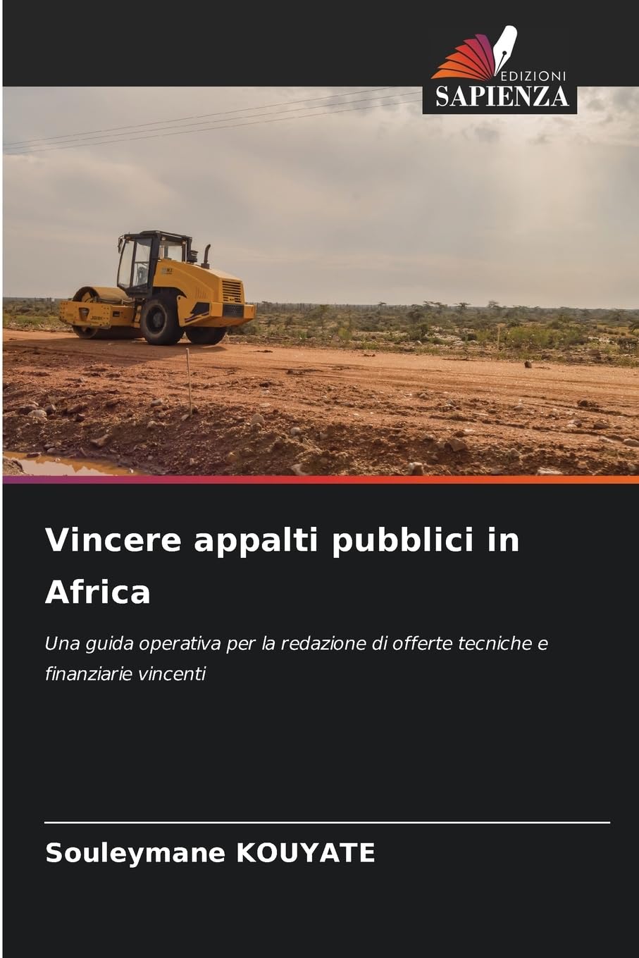 Vincere appalti pubblici in Africa Law