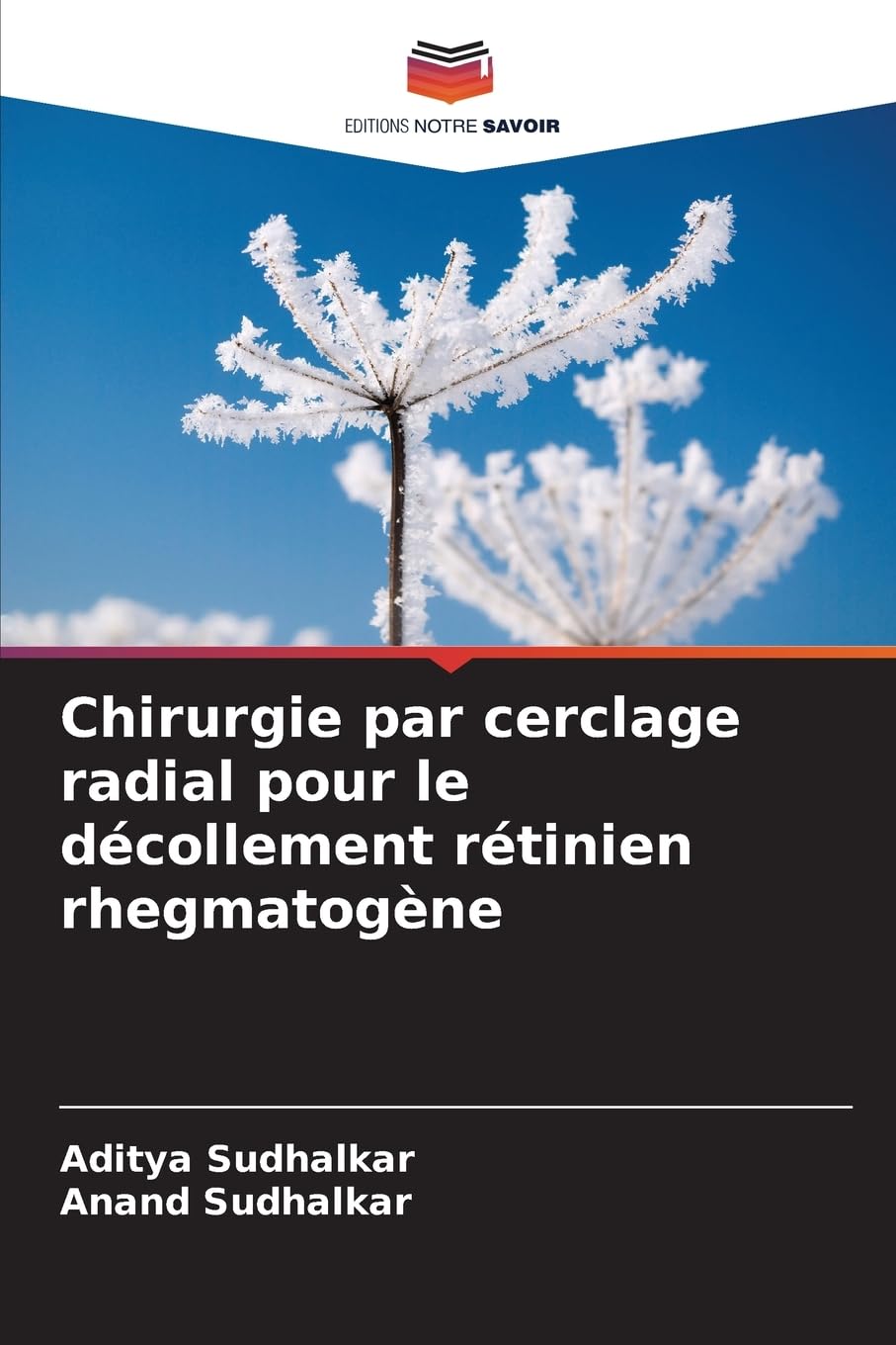 Chirurgie par cerclage radial pour le décollement rétinien rhegmatogène Law