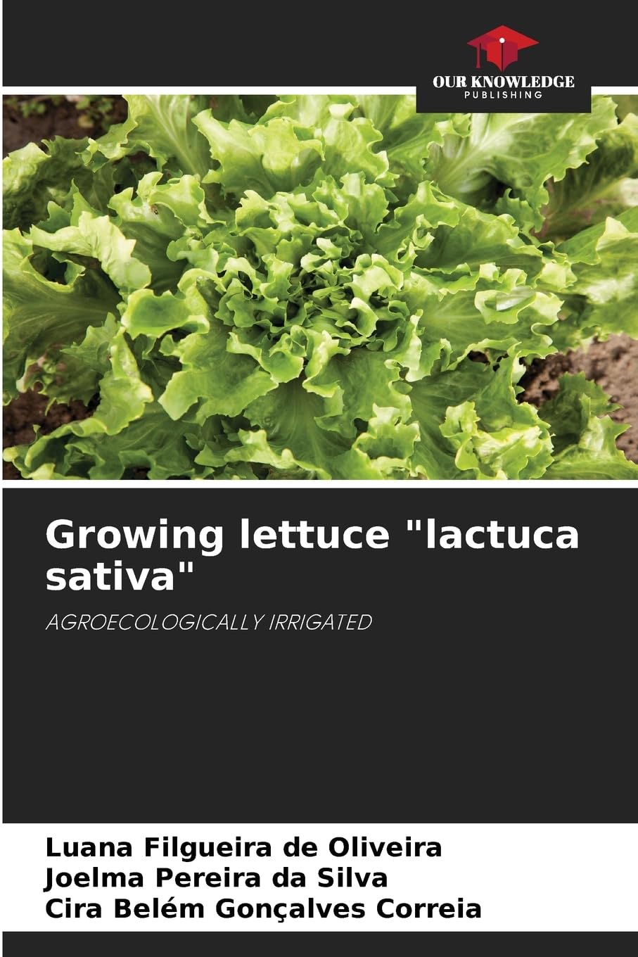 Growing lettuce "lactuca sativa" Law