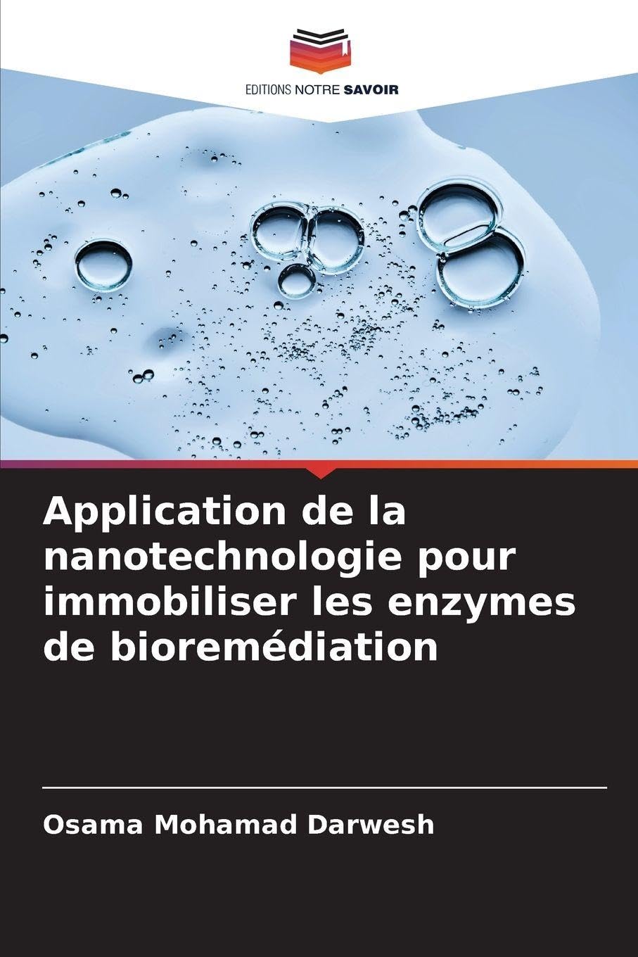 Application de la nanotechnologie pour immobiliser les enzymes de bioremédiation Natural Sciences