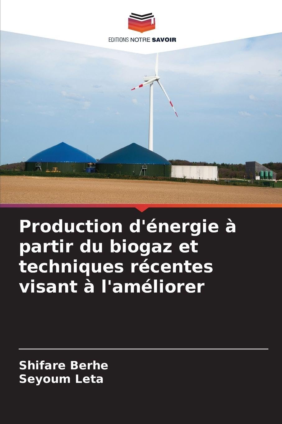 Production d'énergie à partir du biogaz et techniques récentes visant à l'améliorer Business & Technology