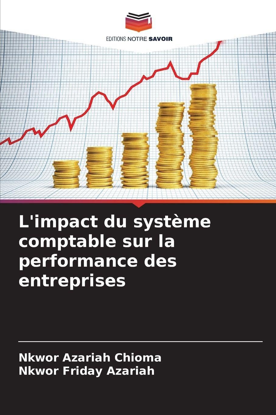L'impact du système comptable sur la performance des entreprises Law