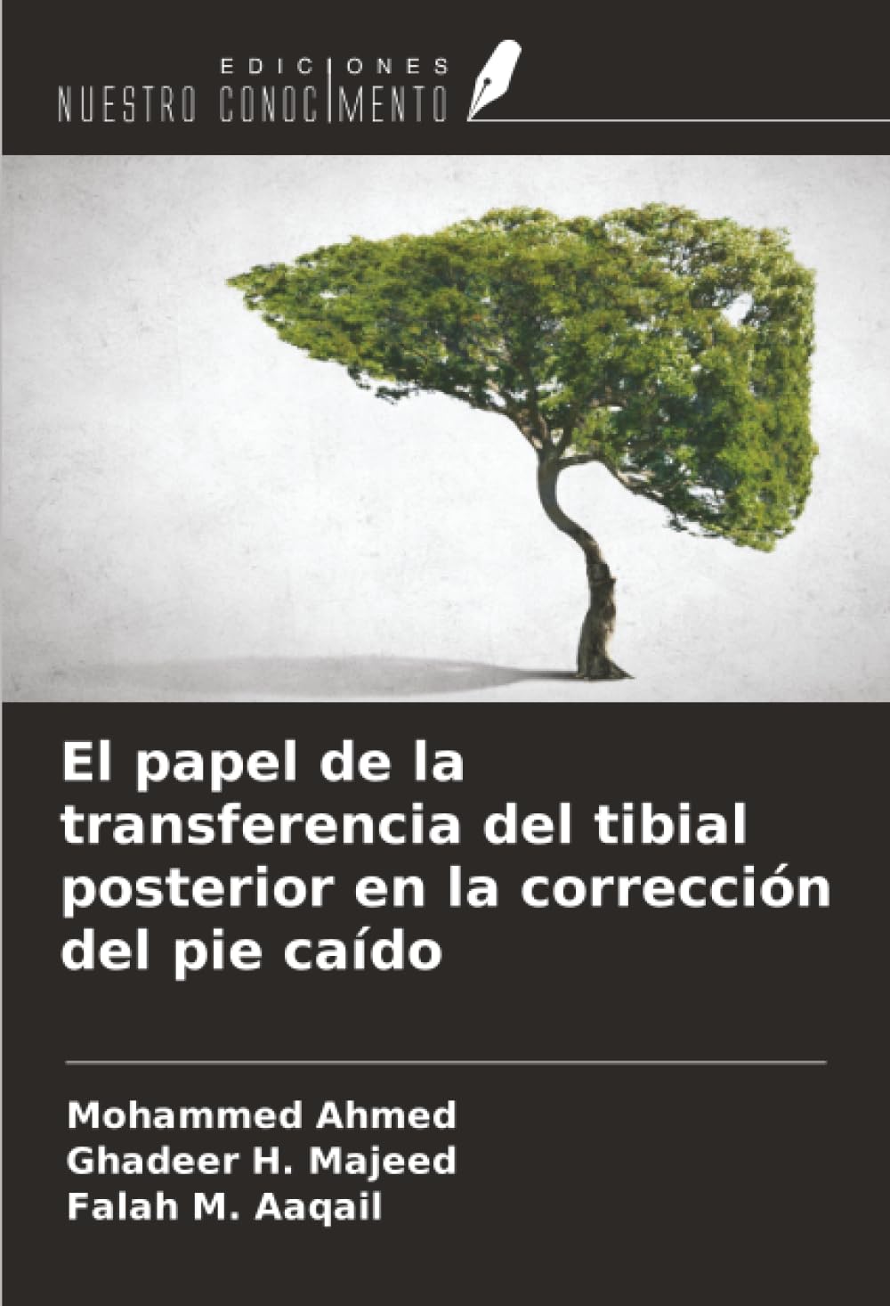 El papel de la transferencia del tibial posterior en la corrección del pie caído Law