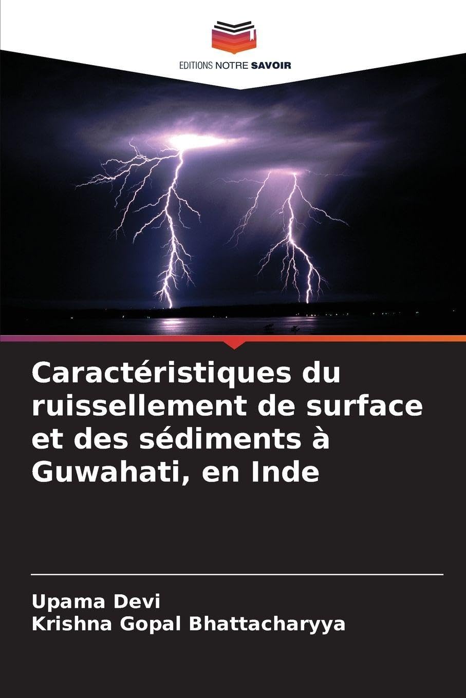 Caractéristiques du ruissellement de surface et des sédiments à Guwahati, en Inde Natural Sciences