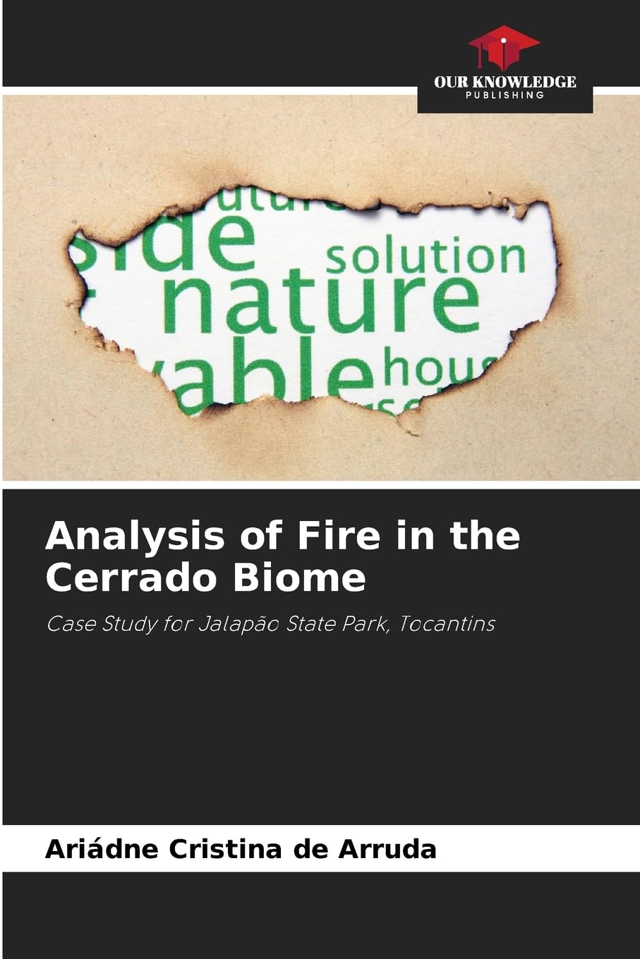 Analysis of Fire in the Cerrado Biome Arts & Music