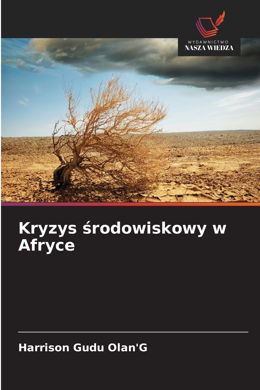 Kryzys ¿rodowiskowy w Afryce Books