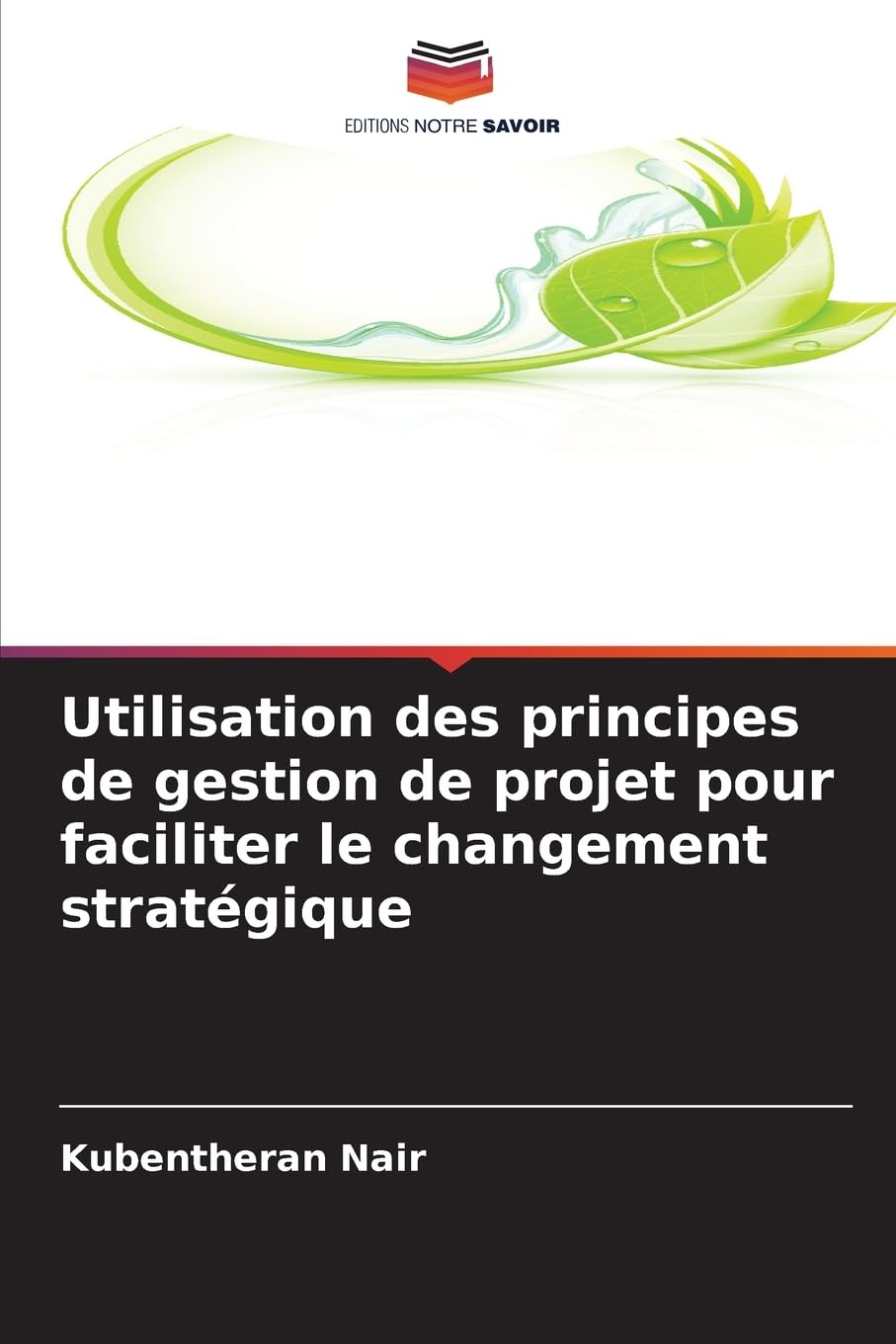 Utilisation des principes de gestion de projet pour faciliter le changement stratégique Law