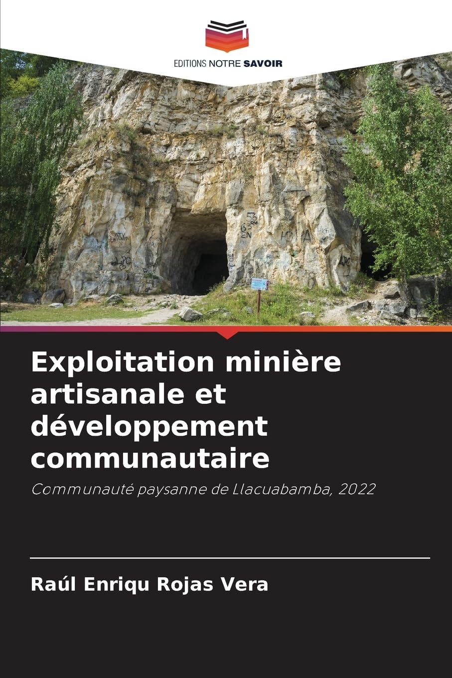 Exploitation minière artisanale et développement communautaire Natural Sciences
